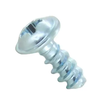 Worcester Bosch Oval Head Screw B4x10 29142113020